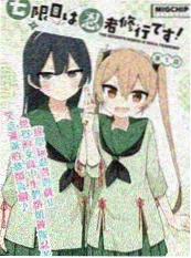 月海的守夜人缩略图